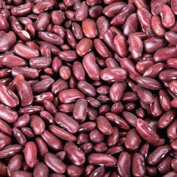 Red Kidney Bean